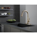 Delta 9113T-CZ-DST Single Handle Pull-Down Kitchen Faucet With Touch2O Cz