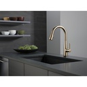 Delta 9113T-CZ-DST Single Handle Pull-Down Kitchen Faucet With Touch2O Cz
