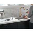Delta 9159T-CZ-DST Trinsic Pull-Down Kitchen Faucet W/T2O 