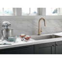 Delta 9159T-CZ-DST Trinsic Pull-Down Kitchen Faucet W/T2O 