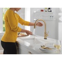 Delta 9159TL-CZ-DST Pulldown Touchless Kitchen Faucet Champagne Bronze