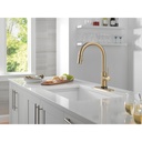 Delta 9159TL-CZ-DST Pulldown Touchless Kitchen Faucet Champagne Bronze