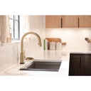 Delta 9159TLV-CZ-DST Pulldown Touchless Voiceiq Kitchen Faucet Matte Black