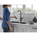 Delta 9176T-BL-DST Touch2O Pd Kitchen 1L