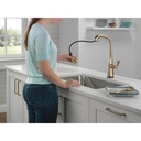 Delta 9176T-CZ-PR-DST Touch2O Pd Kitchen 1L