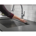 Delta 9179-AR-DST Coranto Single Handle Pull-Down Shieldspray 
