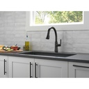 Delta 9179-BL-DST Coranto Single Handle Pull-Down Shieldspray 