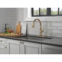 Delta 9179-CZ-DST Single Handle Pull-Down Shieldspray Cz