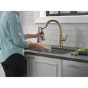 Delta 9179-CZ-DST Single Handle Pull-Down Shieldspray Cz