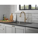 Delta 9179-CZ-DST Single Handle Pull-Down Shieldspray Cz