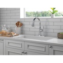 Delta 9179-DST Coranto Single Handle Pull-Down Shieldspray 