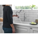 Delta 9179-DST Coranto Single Handle Pull-Down Shieldspray 