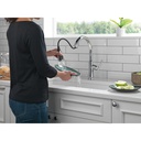 Delta 9179-DST Coranto Single Handle Pull-Down Shieldspray 