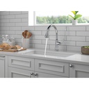 Delta 9179-DST Coranto Single Handle Pull-Down Shieldspray 