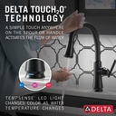 Delta 9179T-BL-DST Coranto Single Handle Pull-Down Touch And Shieldspray 