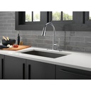 Delta 9182-AR-PR-DST Emmeline Shieldspray Pull-Down Kitchen Faucet 1L 