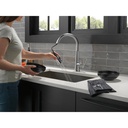 Delta 9182-AR-PR-DST Emmeline Shieldspray Pull-Down Kitchen Faucet 1L 
