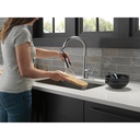 Delta 9182-AR-PR-DST Emmeline Shieldspray Pull-Down Kitchen Faucet 1L 