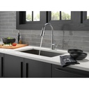 Delta 9182-AR-PR-DST Emmeline Shieldspray Pull-Down Kitchen Faucet 1L 