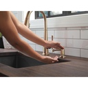 Delta 9182-CZ-PR-DST Emmeline Shieldspray Pull-Down Kitchen Faucet 1L 