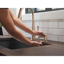 Delta 9182-CZ-PR-DST Emmeline Shieldspray Pull-Down Kitchen Faucet 1L 