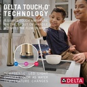 Delta 9182T-CZ-PR-DST Emmeline Touch 2O Pull-Down Kichen Faucet 1L W/Shieldspray 