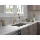 Delta 9190-CZ-DST Broderick Pull-Down Kitchen W/Shieldspray 1L 