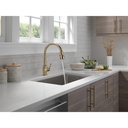 Delta 9190-CZ-DST Broderick Pull-Down Kitchen W/Shieldspray 1L 