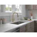 Delta 9190-CZ-DST Broderick Pull-Down Kitchen W/Shieldspray 1L 