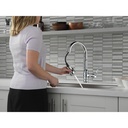 Delta 9190-DST Broderick Pull-Down Kitchen W/Shieldspray 1L 