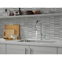Delta 9190-DST Broderick Pull-Down Kitchen W/Shieldspray 1L 