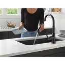 Delta 9190T-BL-DST Broderick Touch2O Pd Kitchen W/Shieldspray 1L