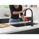 Delta 9190T-BL-DST Broderick Touch2O Pd Kitchen W/Shieldspray 1L