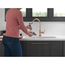Delta 9190T-CZ-DST Broderick Touch2O Pd Kitchen W/Shieldspray 1L 