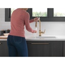 Delta 9190T-CZ-DST Broderick Touch2O Pd Kitchen W/Shieldspray 1L 