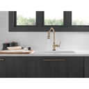 Delta 9190T-CZ-DST Broderick Touch2O Pd Kitchen W/Shieldspray 1L 