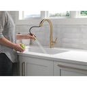 Delta 9191-CZ-PR-DST Monrovia Single Handle Pull-Down Kitchen Faucet In Champange Bronze
