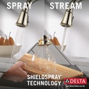 Delta 9197-PN-PR-DST Cassidy Pull-Down Kitchen W/Shieldspray 1L 