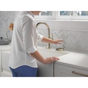 Delta 9197-PN-PR-DST Cassidy Pull-Down Kitchen W/Shieldspray 1L 