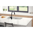 Delta 959LF-BL Seabourne Pulldown Kitchen Faucet