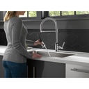 Delta 9690-DST Broderick Spring Spout Pd Kitchen W/Shieldspray 1L 