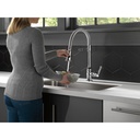 Delta 9690-DST Broderick Spring Spout Pd Kitchen W/Shieldspray 1L 