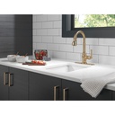Delta 9990-CZ-DST Broderick Pull-Down Bar/Prep Faucet 1L 