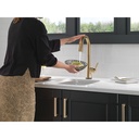 Delta 9991T-CZ-PR-DST Monrovia Bar Prep Pulldown With Touch Champagne Bronze