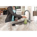 Delta GR250-AR Metal Glass Rinser 