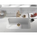 Delta GR250-CZ Metal Glass Rinser 