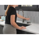 Delta GR250-KS Metal Glass Rinser 