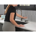 Delta GR250-KS Metal Glass Rinser 