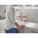 Delta GR250-PN Metal Glass Rinser 