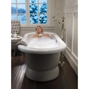 Delta H795PN Cassidy Cross Bath 14 Series Handle 